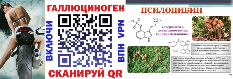маркетплейс телеграм  Белозерск  Псилоцибиновые грибы Cubensis  цены наркотик 